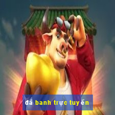 đá banh trực tuyến