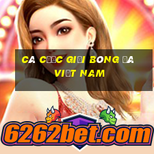 Cá cược giải bóng đá Việt Nam