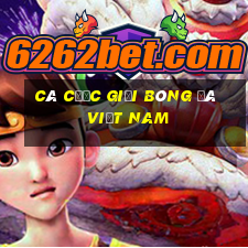 Cá cược giải bóng đá Việt Nam