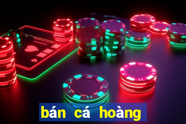 bán cá hoàng bảo yến tại hà nội