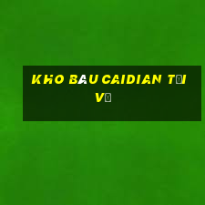 Kho báu Caidian Tải về