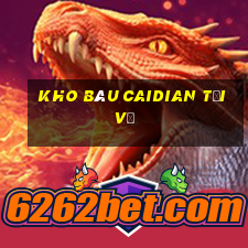 Kho báu Caidian Tải về