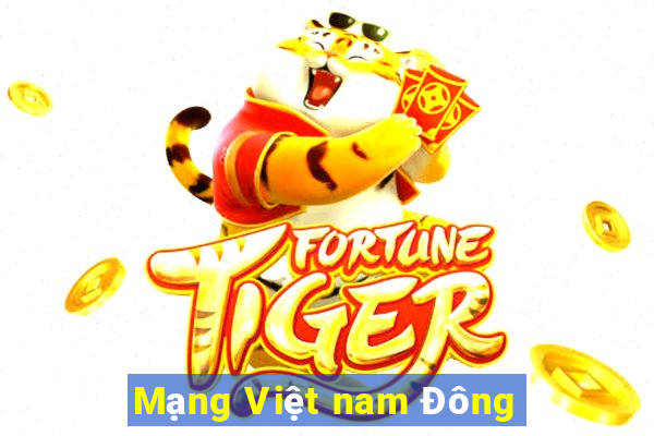 Mạng Việt nam Đông