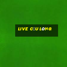 live cầu lông