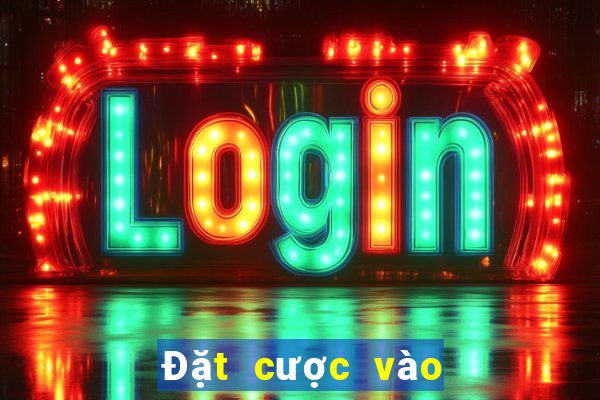 Đặt cược vào bóng rổ lăn