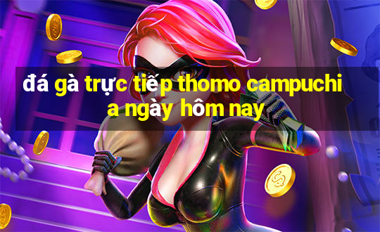 đá gà trực tiếp thomo campuchia ngày hôm nay