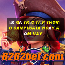 đá gà trực tiếp thomo campuchia ngày hôm nay