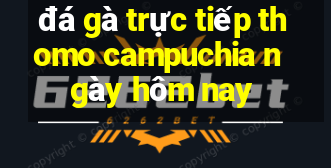 đá gà trực tiếp thomo campuchia ngày hôm nay