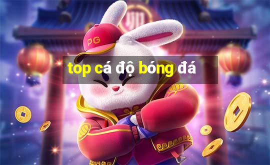 top cá độ bóng đá