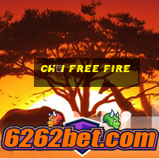 chơi free fire