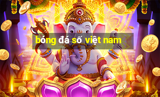 bóng đá số việt nam