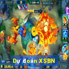 Dự đoán XSBN