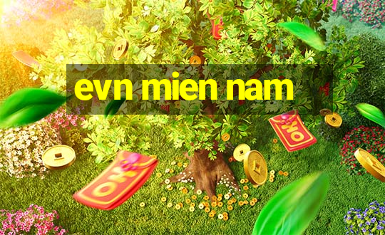 evn mien nam