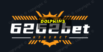 dolphins