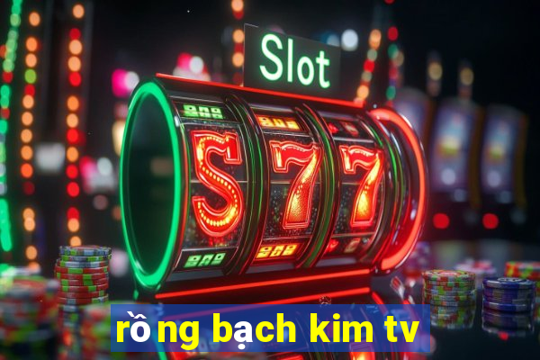 rồng bạch kim tv