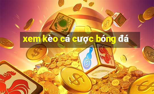 xem kèo cá cược bóng đá