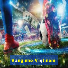 Vàng nho Việt nam