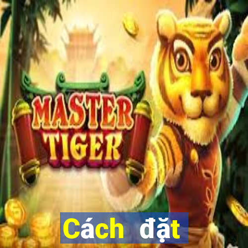 Cách đặt cược XSTTH ngày 8