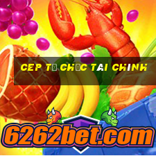 cep tổ chức tài chính