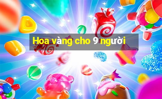 Hoa vàng cho 9 người