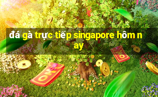 đá gà trực tiếp singapore hôm nay