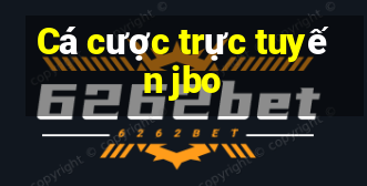 Cá cược trực tuyến jbo