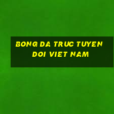 bong da truc tuyen doi viet nam