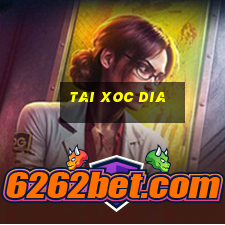 tai xoc dia