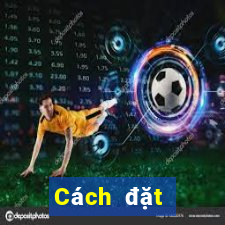 Cách đặt cược XSQN