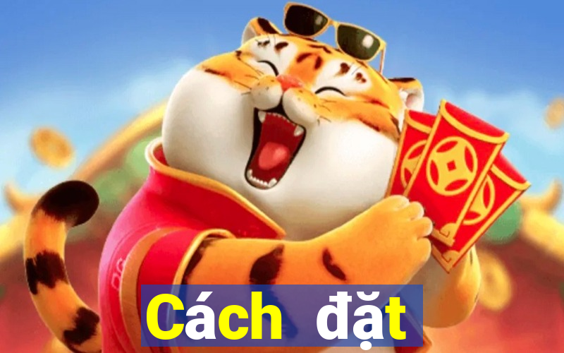 Cách đặt cược XSDNA ngày 8