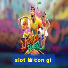 slot là con gì