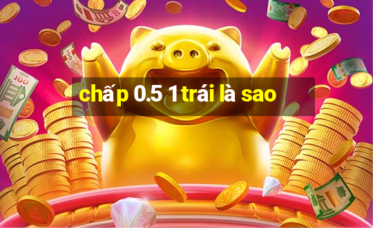 chấp 0.5 1 trái là sao