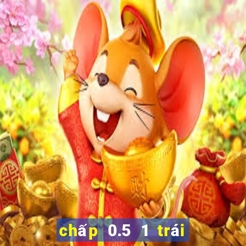 chấp 0.5 1 trái là sao