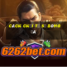 cách chơi tỷ số bóng đá