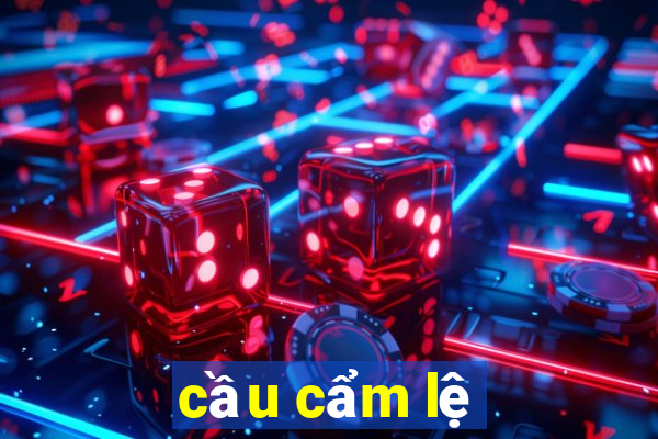 cầu cẩm lệ