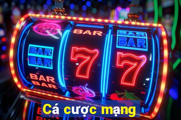 Cá cược mạng