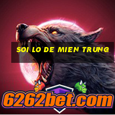 soi lo de mien trung