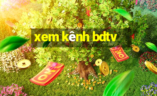 xem kênh bdtv