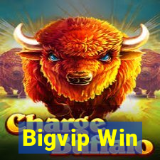 Bigvip Win