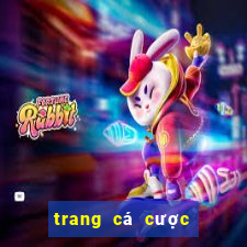 trang cá cược uy tín nhất