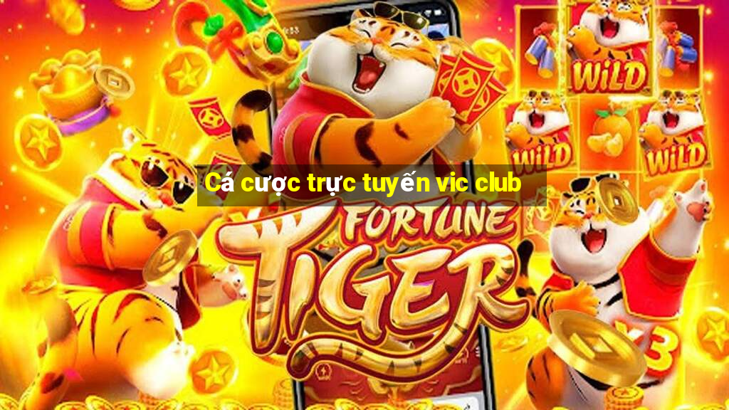 Cá cược trực tuyến vic club