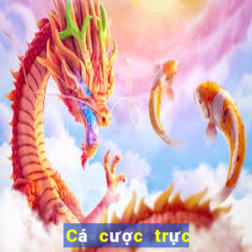 Cá cược trực tuyến vic club