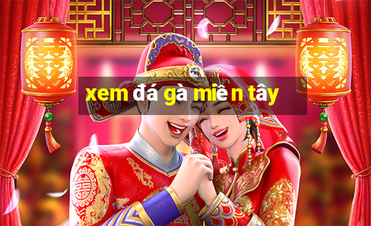 xem đá gà miền tây