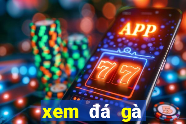 xem đá gà miền tây