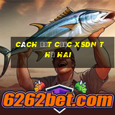 Cách đặt cược XSDN thứ hai