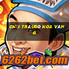 Chọi trâuBò hoa vàng