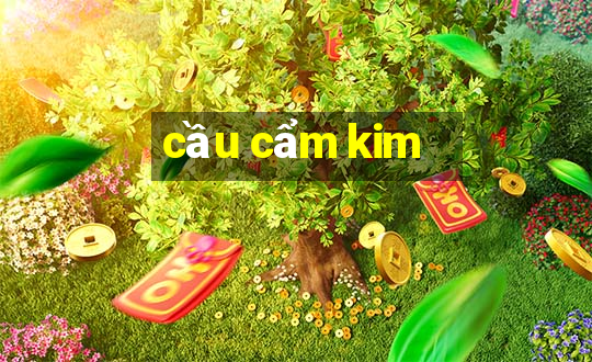 cầu cẩm kim