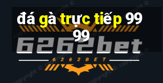 đá gà trực tiếp 9999