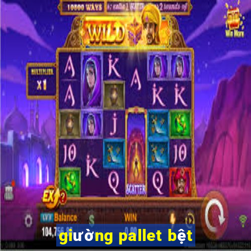 giường pallet bệt