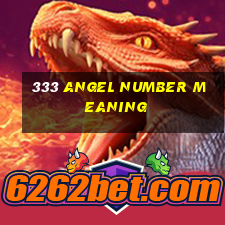 333 angel number meaning